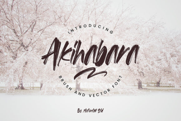 Akihabara Font: A Bold Display Typeface for Editorial Impact