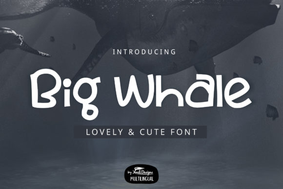 Big Whale Display Font for Cute Craft Projects