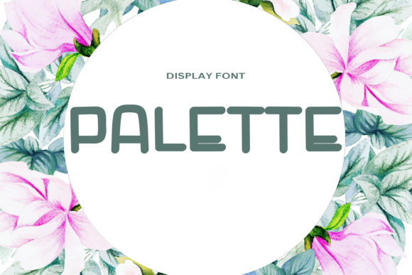 Palette Display Font for Vibrant Editorial Projects